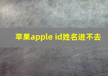 苹果apple id姓名进不去